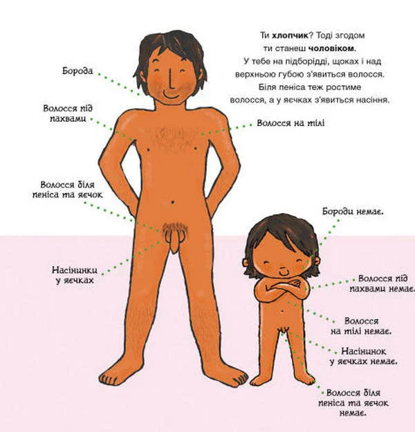 Звідки беруться діти?