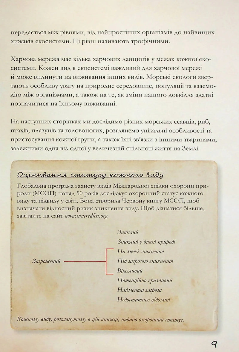 Морські тварини світу