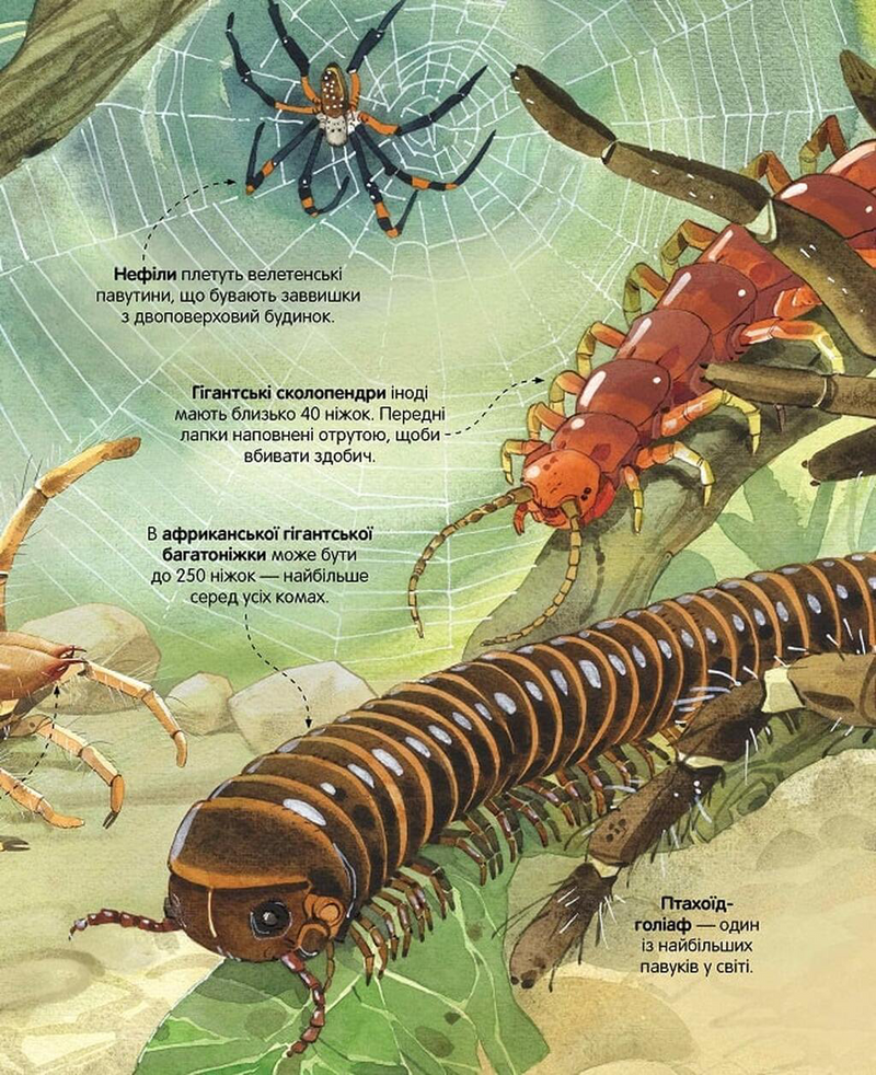 Велика книга комах і не тільки