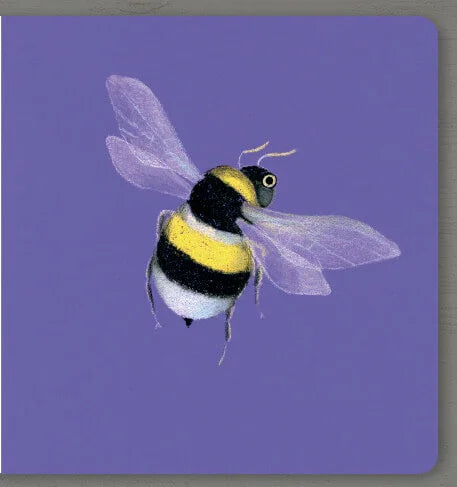 Collect the rainbow. Insects