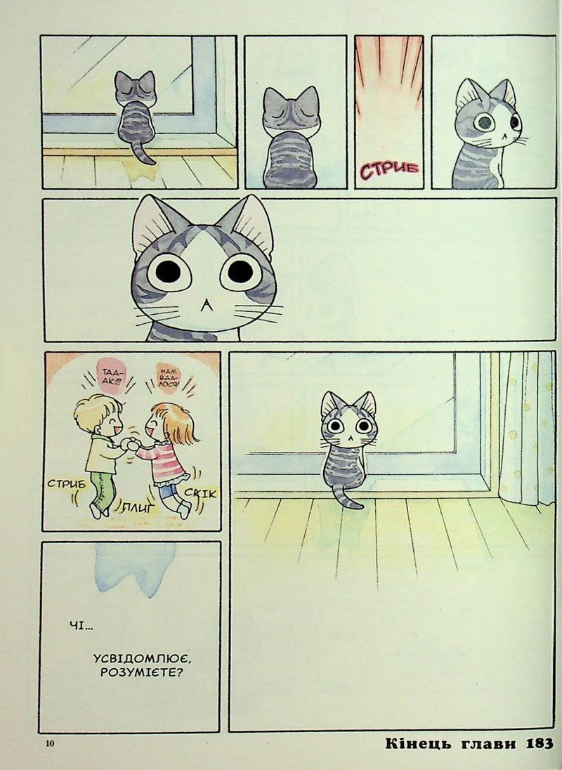 Чі. Життя однієї киці