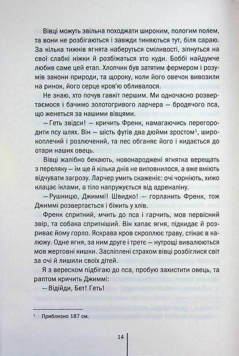 Зруйнована країна