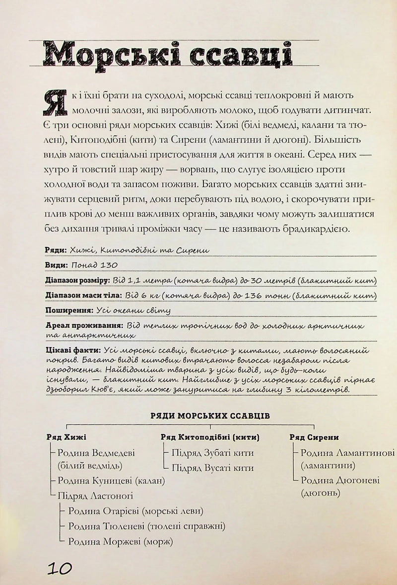 Морські тварини світу