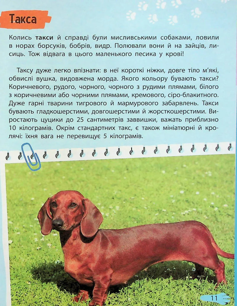 Мініенциклопедія. Хатні улюбленці