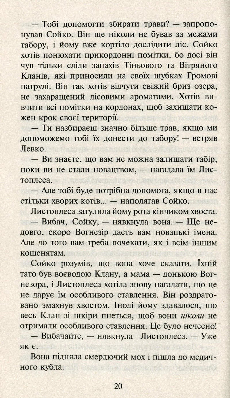 Коти-вояки. Сила трьох. Книга 1. Прозірa