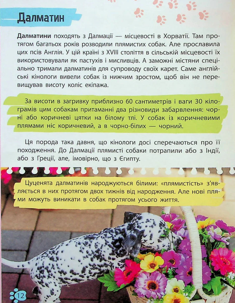 Мініенциклопедія. Хатні улюбленці