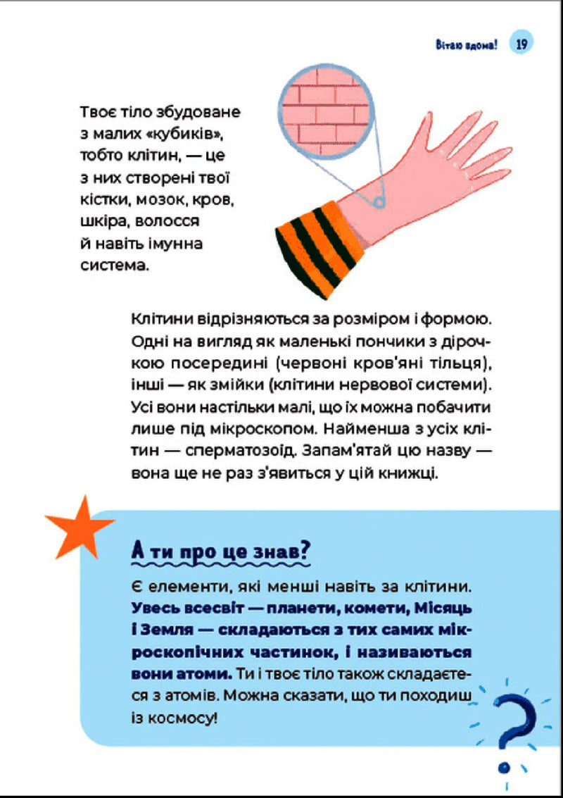 Путівник світом дорослішання для хлопців: зміни в тілі, емоції та бодіпозитив