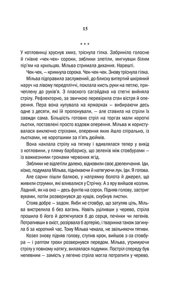 Відьмак. Книга 5. Хрещення вогнем