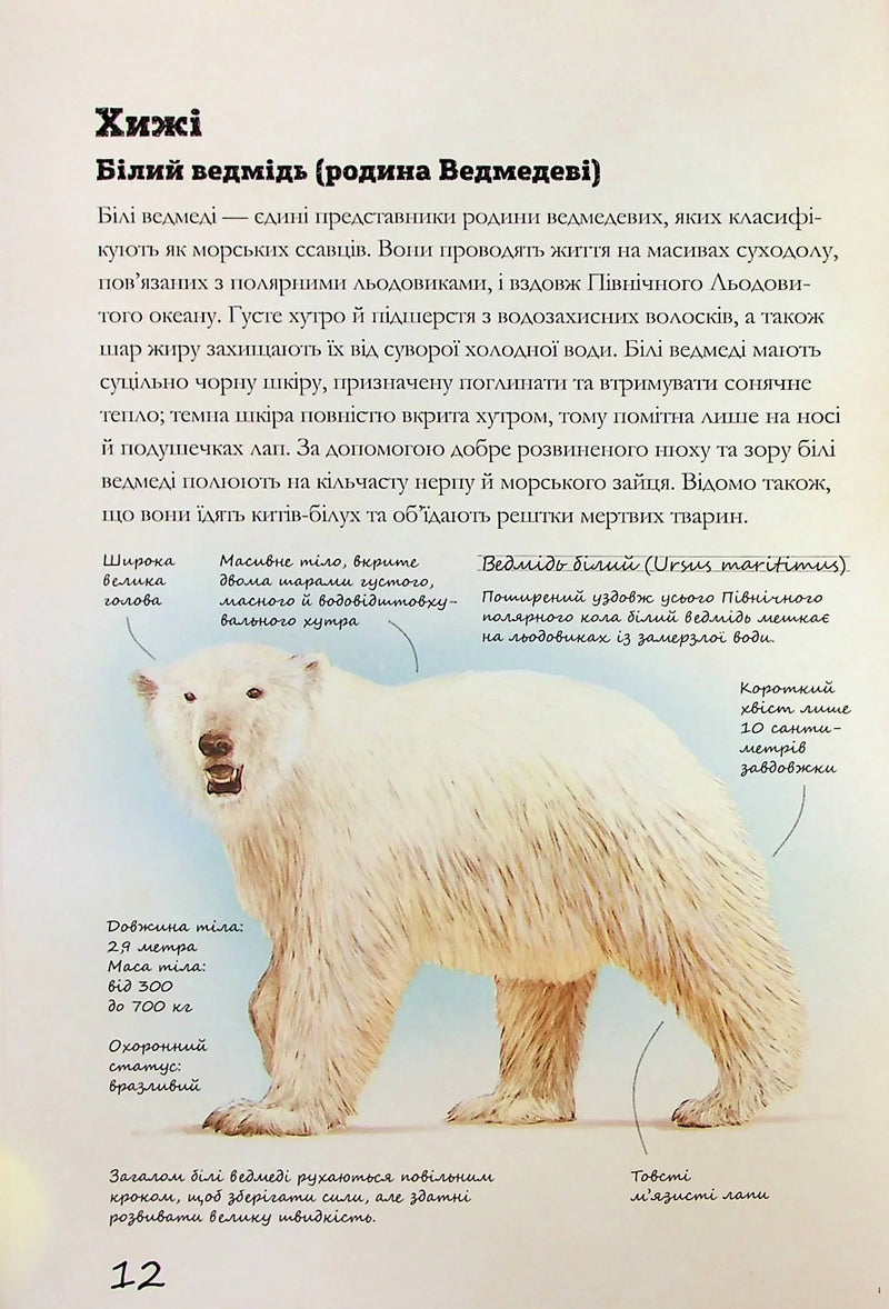 Морські тварини світу