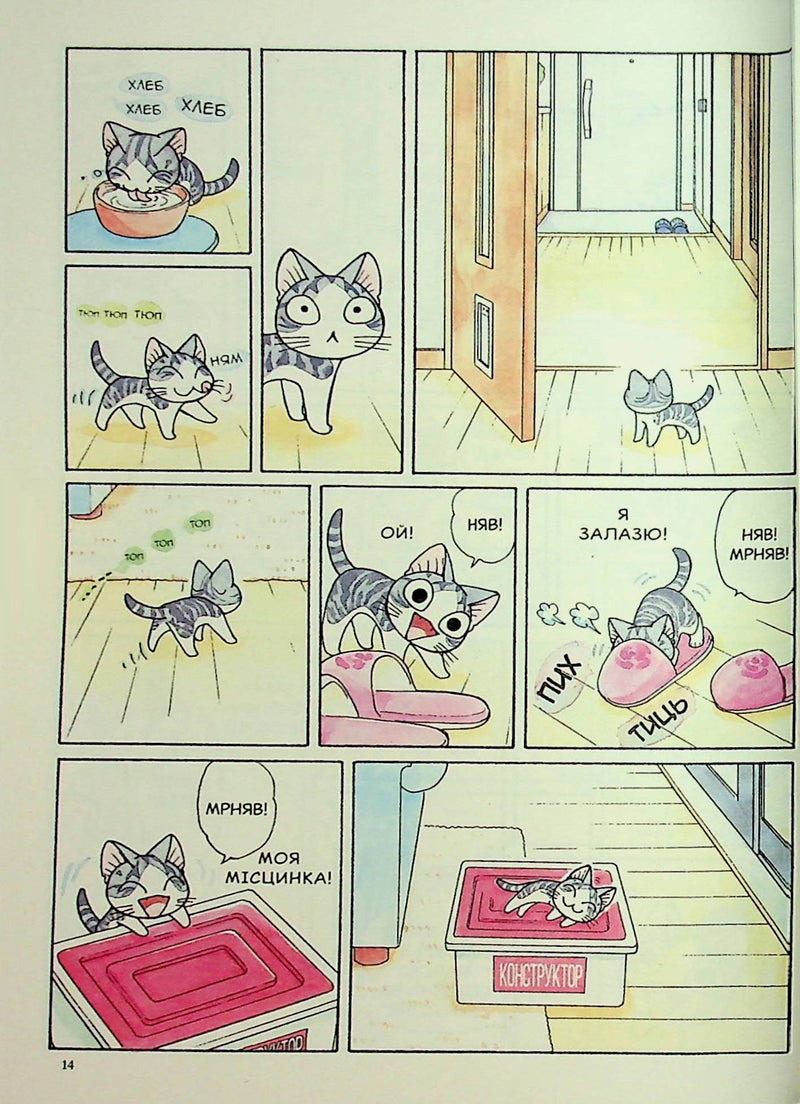 Чі. Життя однієї киці