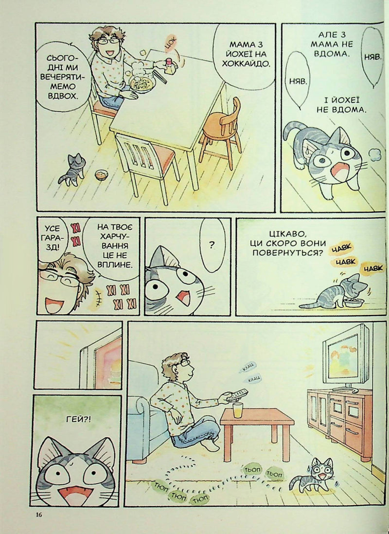 Чі. Життя однієї киці