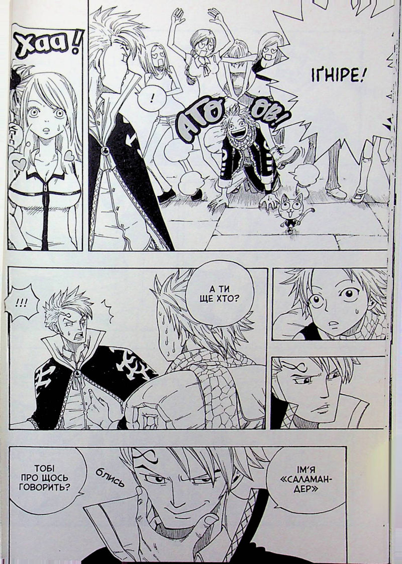 Fairy Tail. Том 1