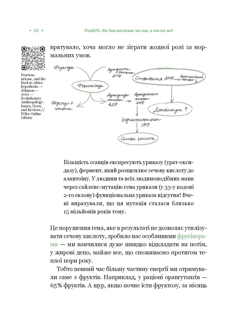 РаціON. Як їжа впливає на нас, а ми на неї