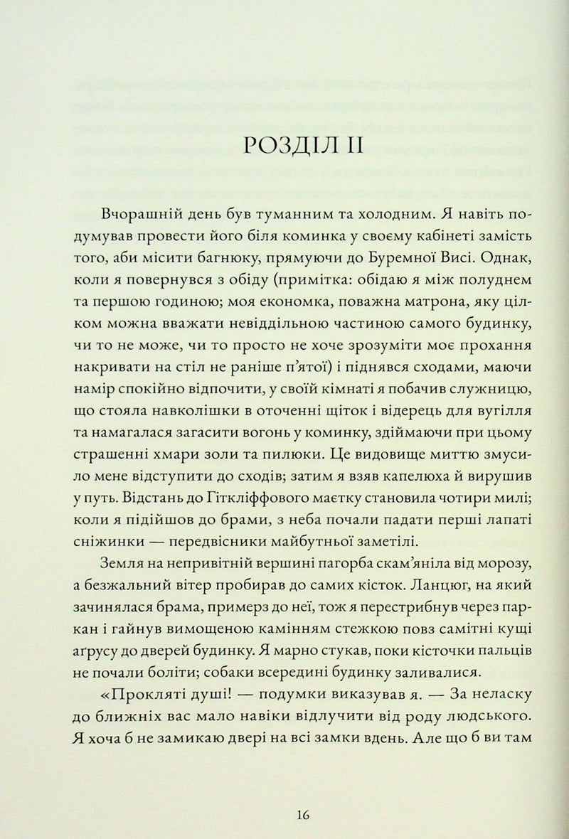 Буремна вись