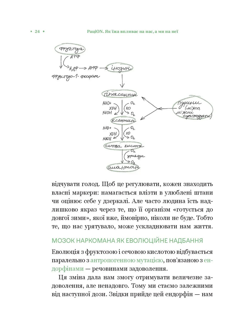 РаціON. Як їжа впливає на нас, а ми на неї