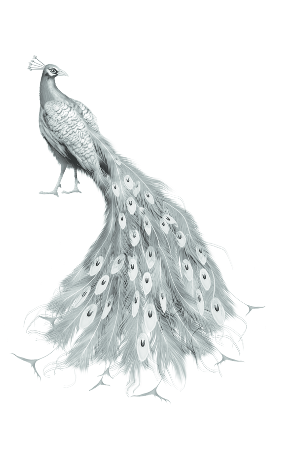 Королівське Позолочене Таро