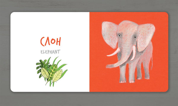 Африканські тварини