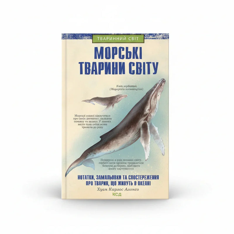Морські тварини світу