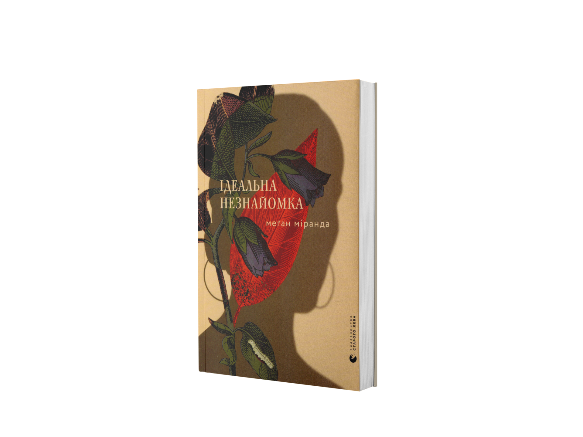 Ідеальна Незнайомка
