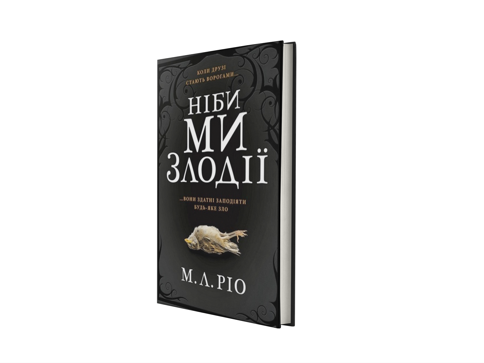 Ніби ми злодії