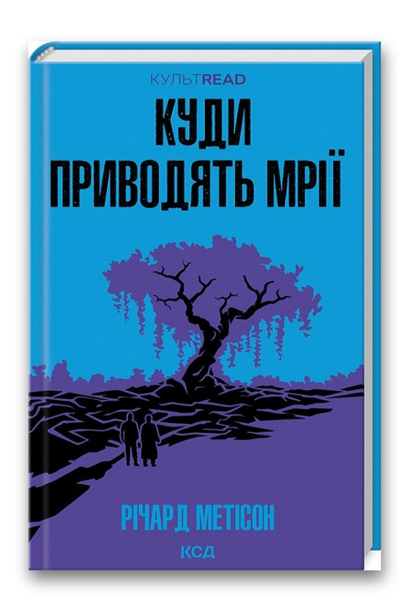 Обкладинка книги «Куди приводять мрії» — Річард Метісон