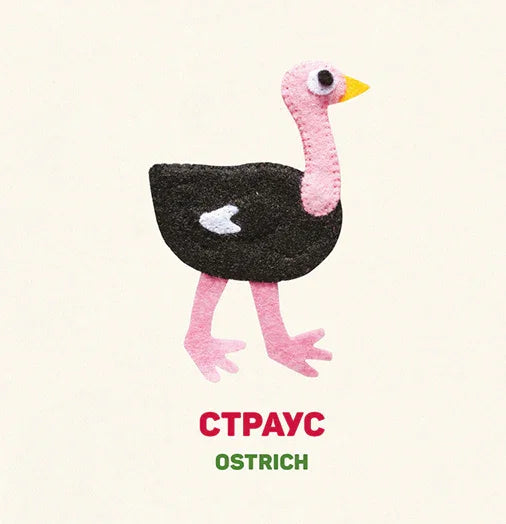 Птахи. Birds