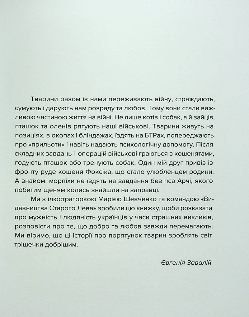 Єнот Ракета та інші герої
