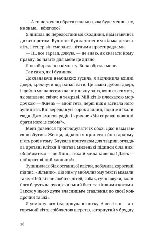 Незнайомець нагорі