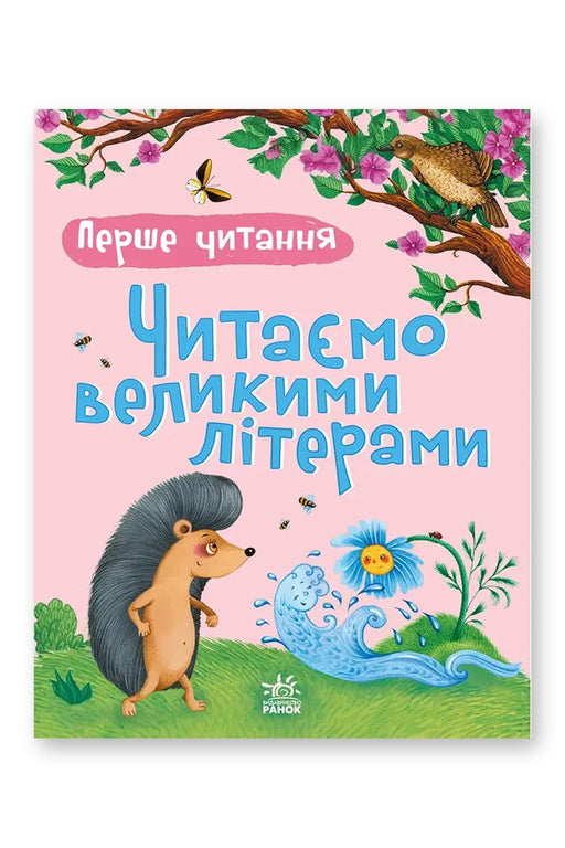 Обкладинка книги «Читаємо великими літерами» — Ю. В. Каспарова